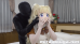 アニメマスク❤︎お嬢様と執事-どっちのお嬢様もエッチ-