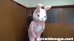 桃兎ちゃん❤︎中身は大汗 着ぐるみちゃんは無口だけどエッチ!!!