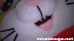 もふもふ最新作３本立てスペシャル
