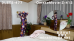 Summer Festival 2025 新作(NEW)セット