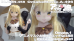 アニメマスク❤︎お嬢様と執事-どっちのお嬢様もエッチ-