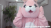 桃兎ちゃんは❤︎かわいいペット