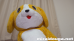 もふもふ最新作３本立てスペシャル