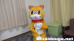 もふもふ最新作３本立てスペシャル