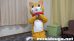 もふもふ最新作３本立てスペシャル