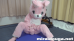 桃兎ちゃん❤︎大汗Fitness -もふもふの中はムレムレでエッチ-