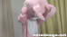 桃兎ちゃん❤︎大汗Fitness -もふもふの中はムレムレでエッチ-