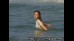 SEXY WATER JAPAN Vol.05 [NURE - GOTO]